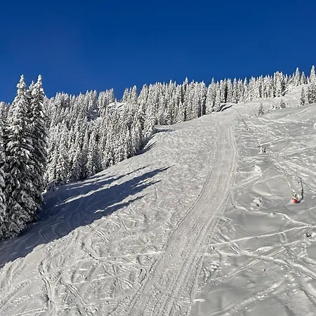 Zaglgut Hotel-chalets, Fantastic Views, In Ski-out In Winter, Air Conditioning In Summer Ξενοδοχείο 4*